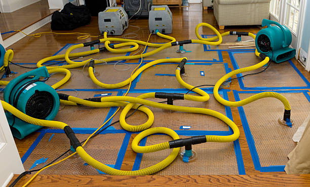 Professional Burst Pipe Water Damage technician working in Stacy, MN